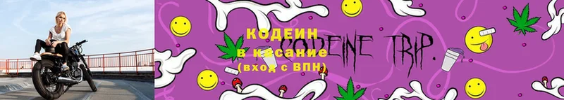 наркота  мориарти Telegram  мега ONION  Кодеин Purple Drank  Кудрово 