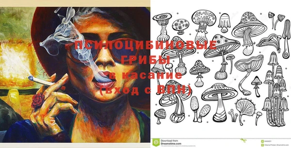 mix Новодвинск