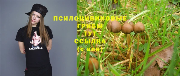 mix Новодвинск