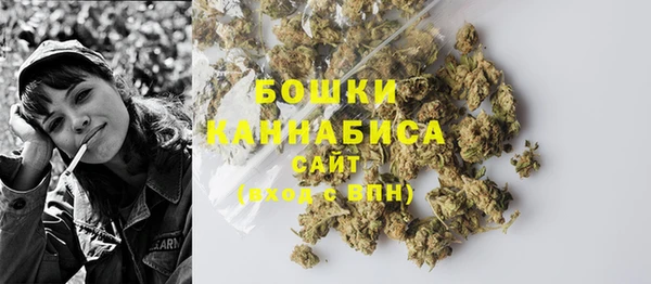 гашик Новокубанск