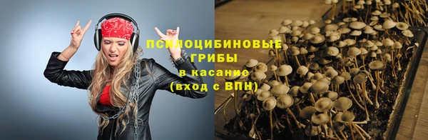 mix Новодвинск