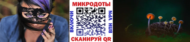 Псилоцибиновые грибы MAGIC MUSHROOMS  как найти наркотики  Кудрово 