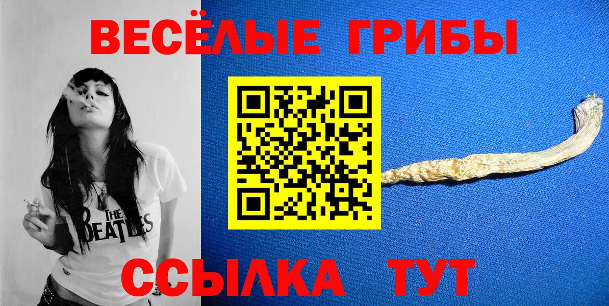 даркнет сайт  Вход с VPN  Кудрово  Псилоцибиновые грибы MAGIC MUSHROOMS 