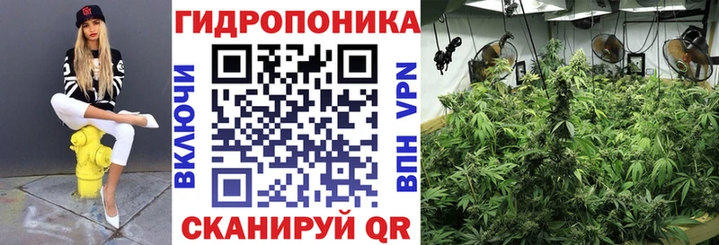 маркетплейс телеграм  закладка  Кудрово  Бошки марихуана Ganja 